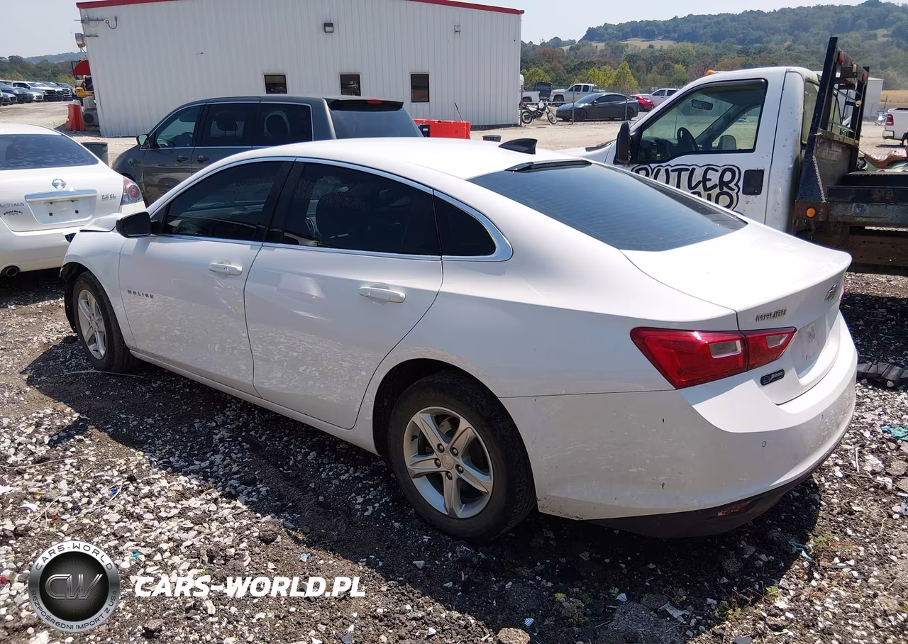 2020 Chevrolet Malibu Fwd 1Fl VIN:1G1ZC5ST8LF132579 - 3