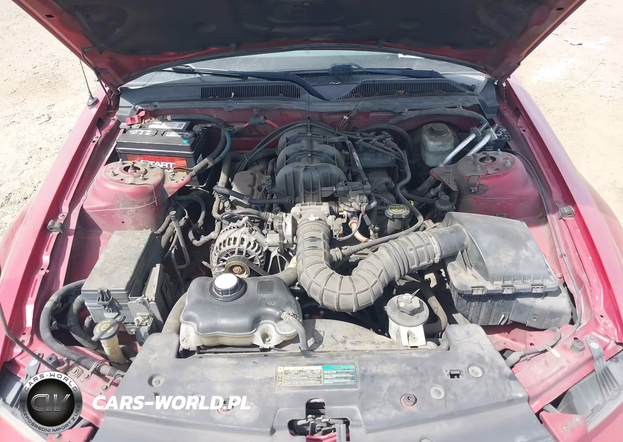 2006 Ford Mustang V6 VIN:1ZVFT80N365164265 - 10