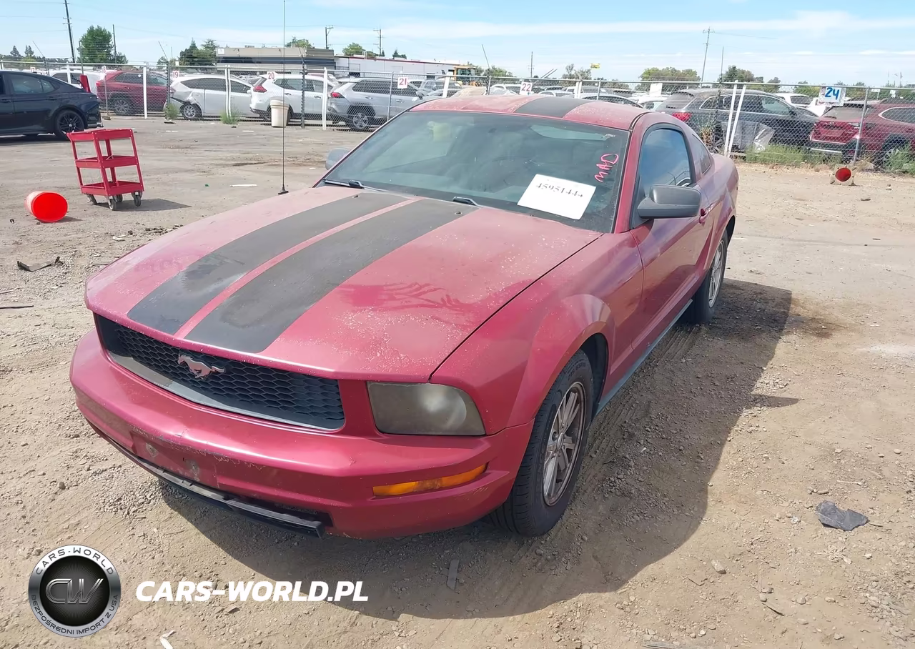 2006 Ford Mustang V6 VIN:1ZVFT80N365164265 - 2