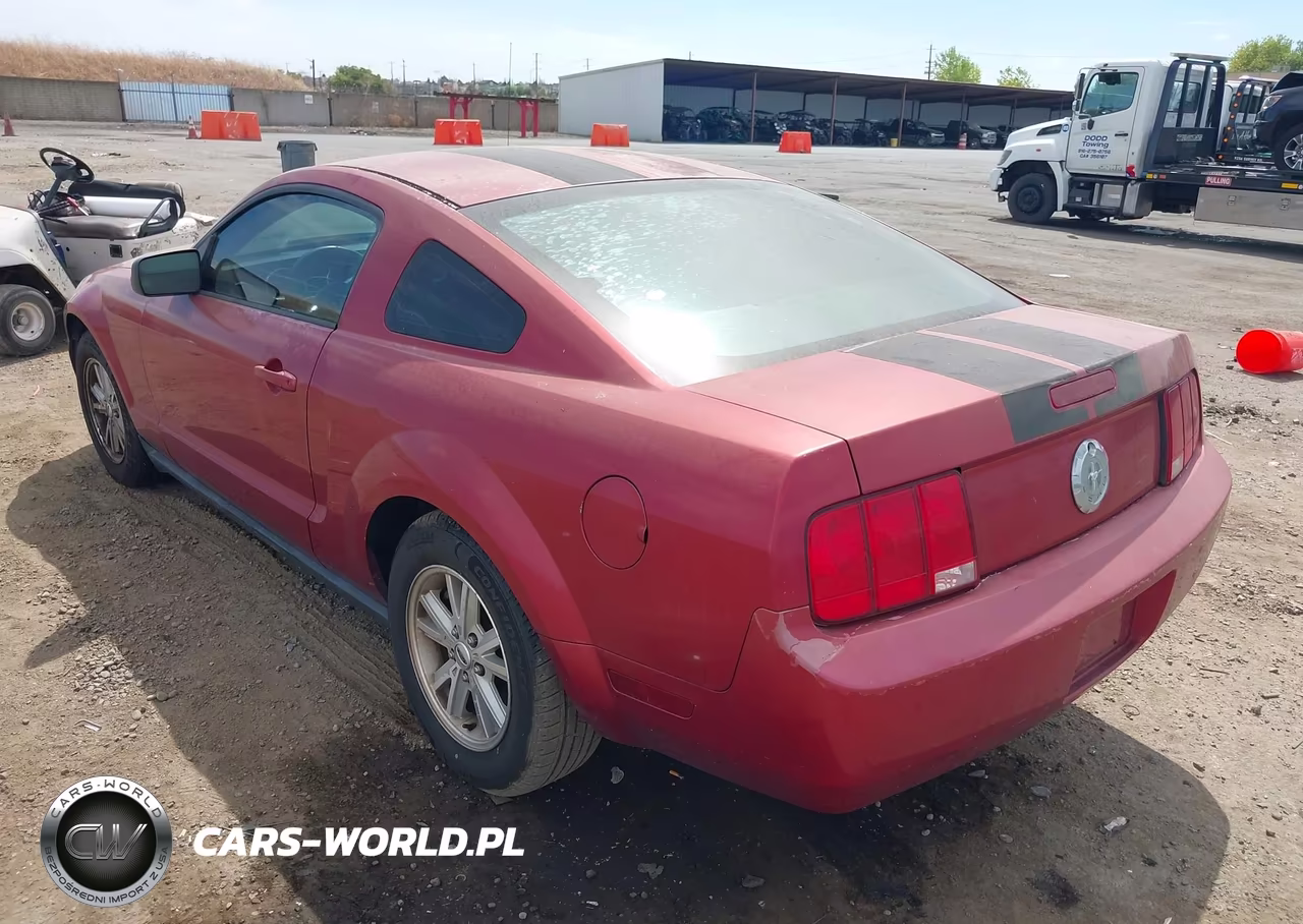 2006 Ford Mustang V6 VIN:1ZVFT80N365164265 - 3