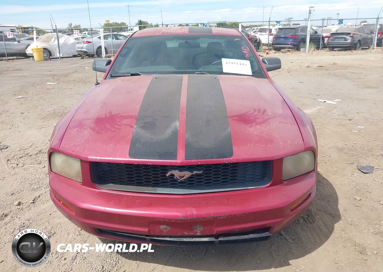 2006 Ford Mustang V6 VIN:1ZVFT80N365164265 - 6