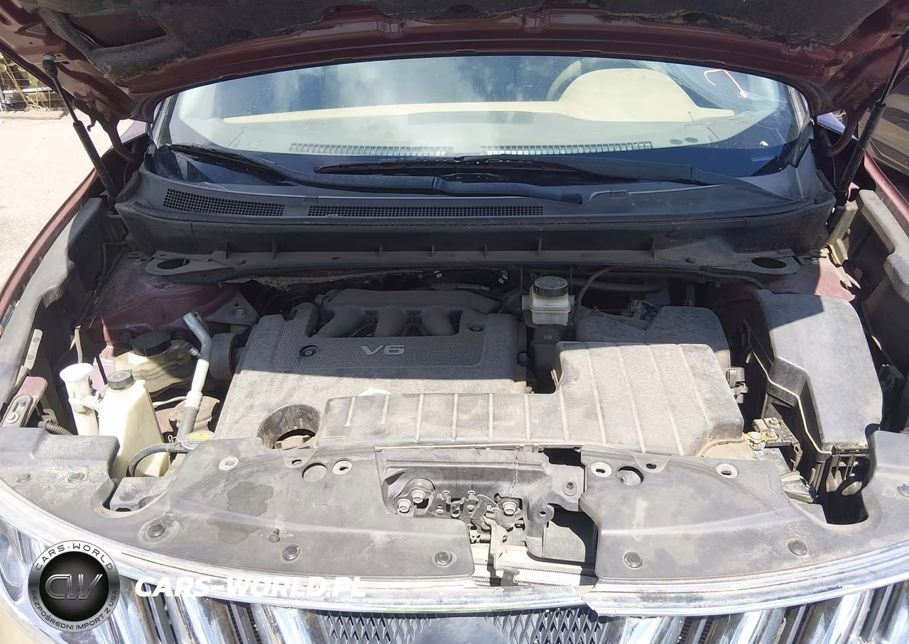 2009 Nissan Murano S VIN:JN8AZ18WX9W138748 - 10