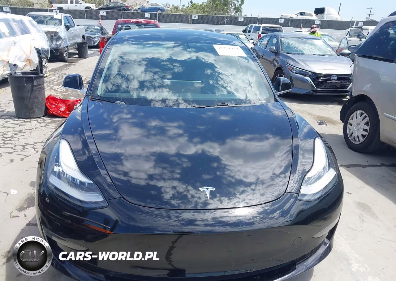2019 Tesla Model 3 Long Range-Mid Range-Standard Range-Standard Range Plus VIN:5YJ3E1EAXKF361844 - 13