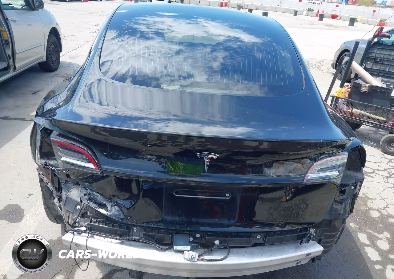 2019 Tesla Model 3 Long Range-Mid Range-Standard Range-Standard Range Plus VIN:5YJ3E1EAXKF361844 - 6