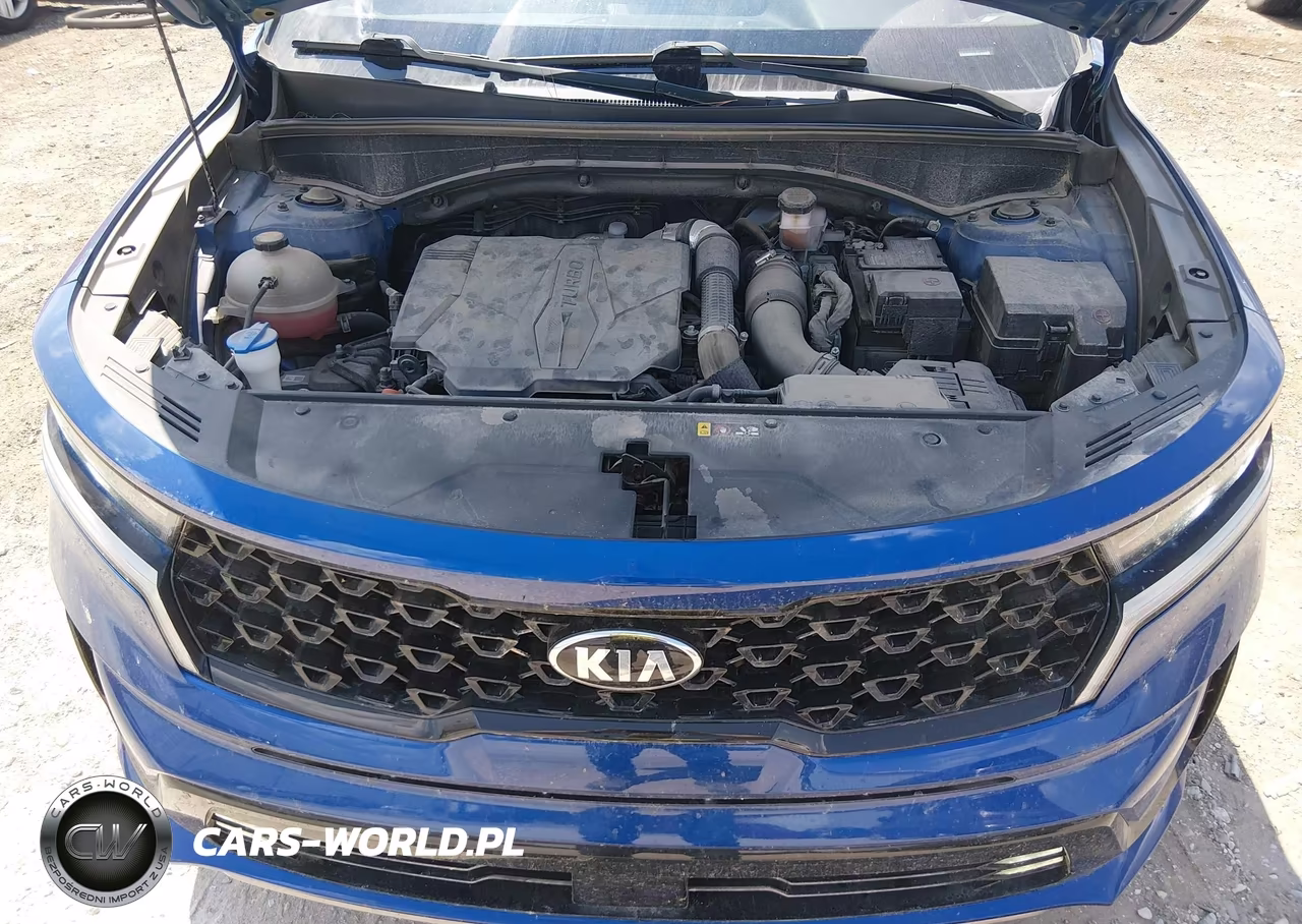 2021 Kia Sorento Sx VIN:5XYRKDLFXMG030924 - 10