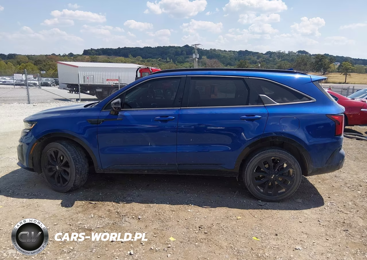 2021 Kia Sorento Sx VIN:5XYRKDLFXMG030924 - 14