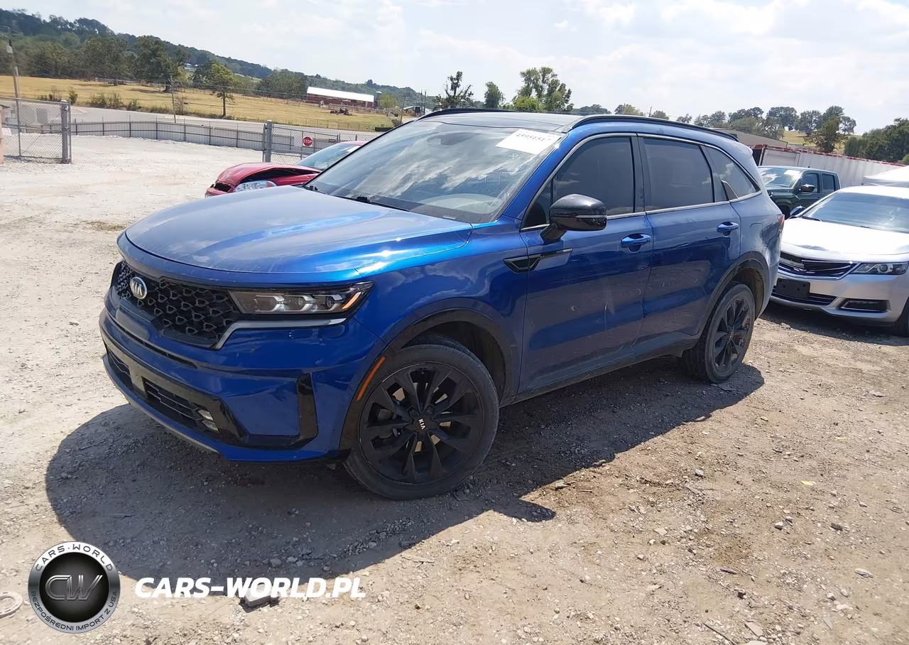 2021 Kia Sorento Sx VIN:5XYRKDLFXMG030924 - 2