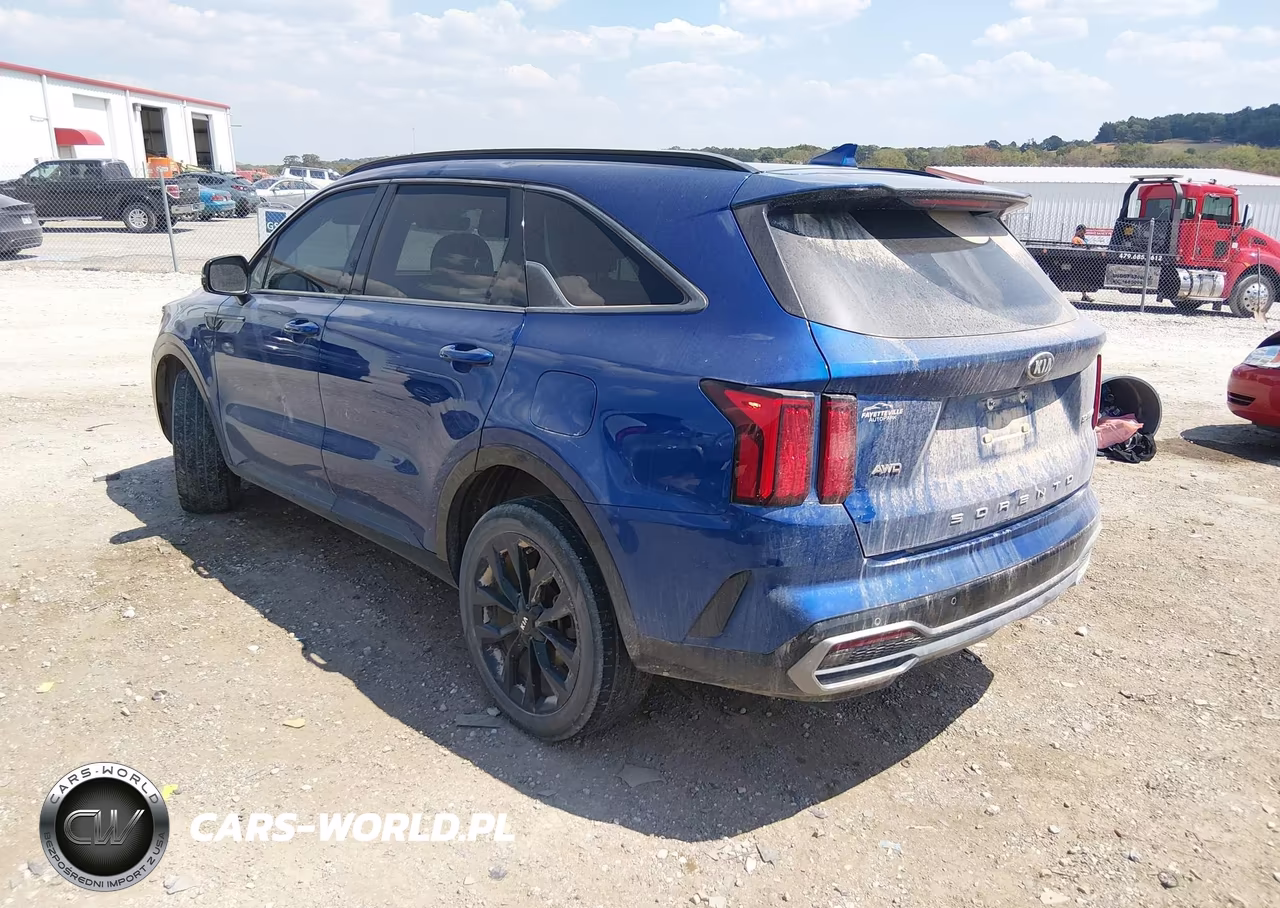 2021 Kia Sorento Sx VIN:5XYRKDLFXMG030924 - 3