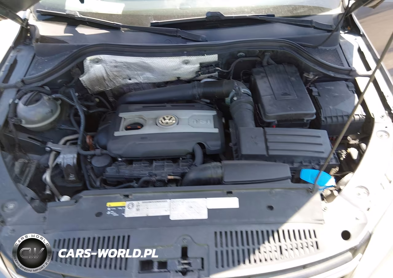 2013 Volkswagen Tiguan S VIN:WVGAV3AX5DW592075 - 10