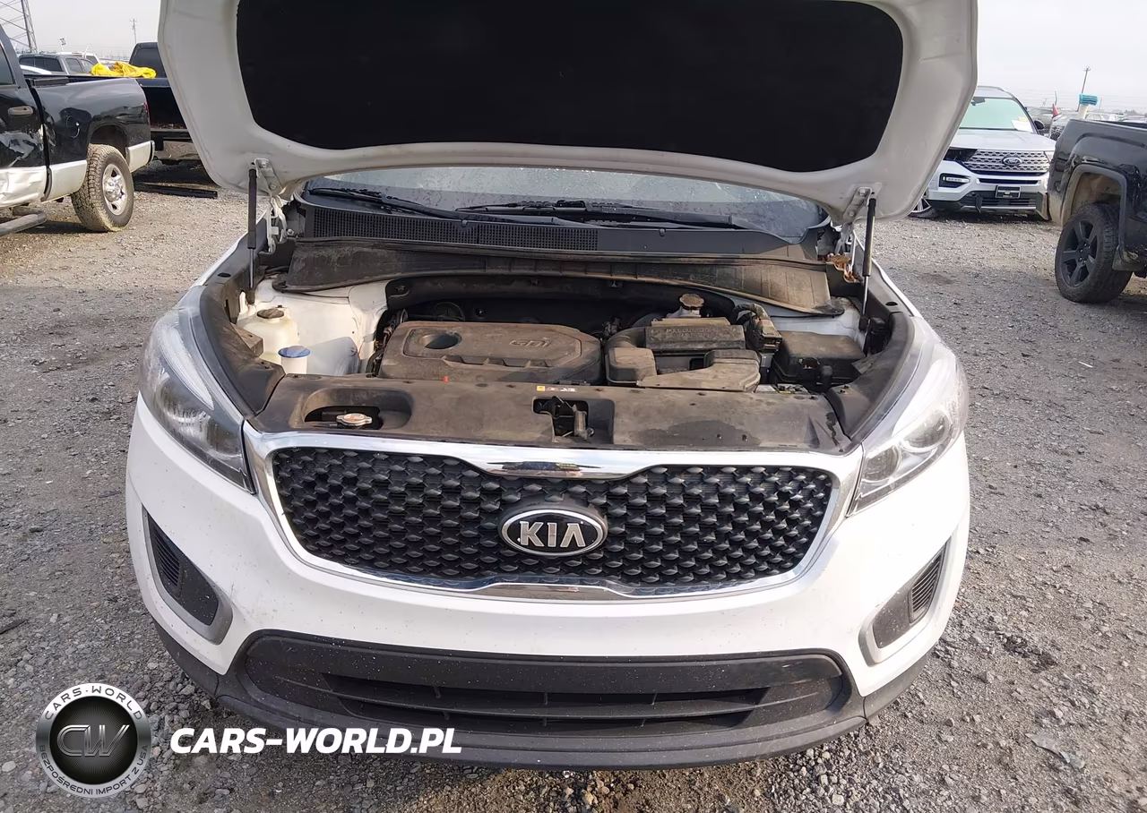 2018 Kia Sorento 2.4L Lx VIN:5XYPGDA35JG428913 - 10