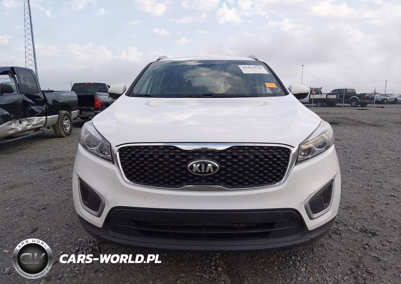 2018 Kia Sorento 2.4L Lx VIN:5XYPGDA35JG428913 - 12