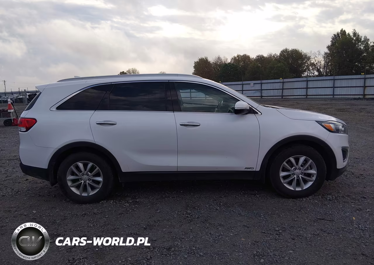 2018 Kia Sorento 2.4L Lx VIN:5XYPGDA35JG428913 - 13
