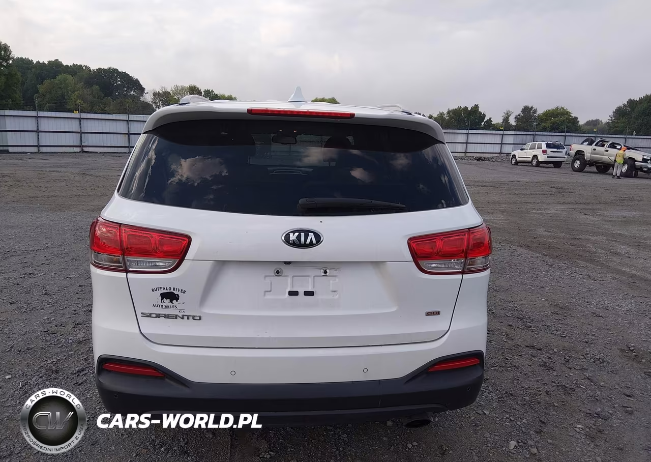 2018 Kia Sorento 2.4L Lx VIN:5XYPGDA35JG428913 - 16