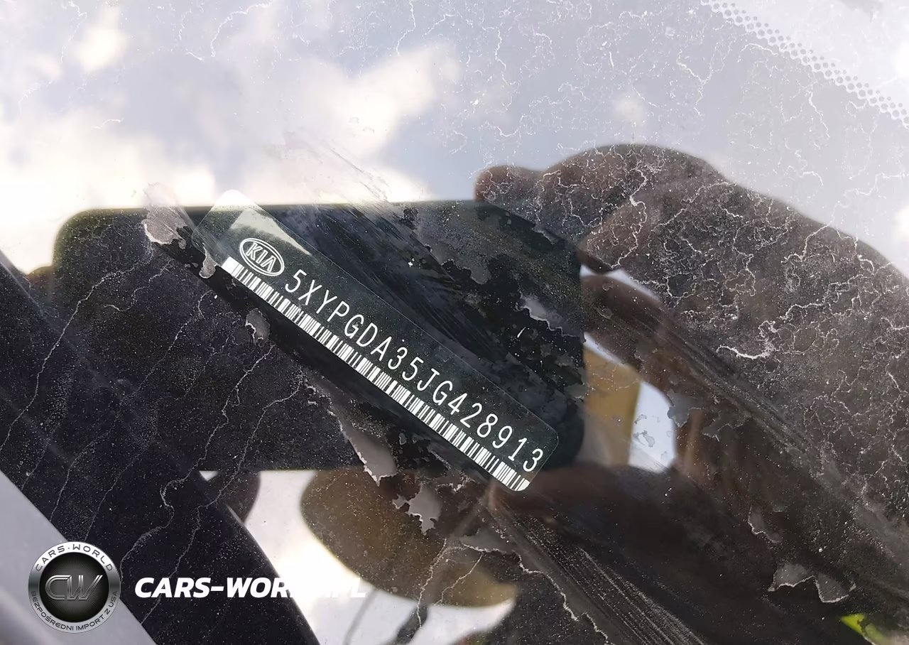 2018 Kia Sorento 2.4L Lx VIN:5XYPGDA35JG428913 - 9