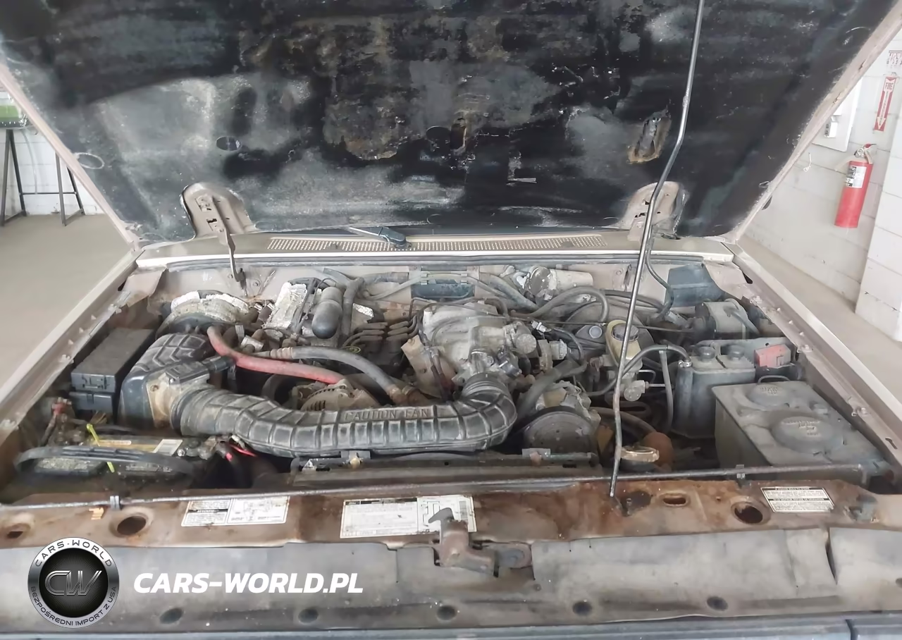 1994 Ford Explorer VIN:1FMCU24X6RUA62623 - 10