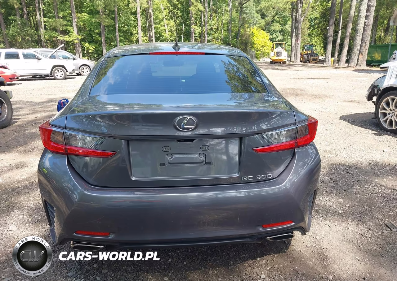 2018 Lexus Rc 300 VIN:JTHHA5BC1J5008258 - 16