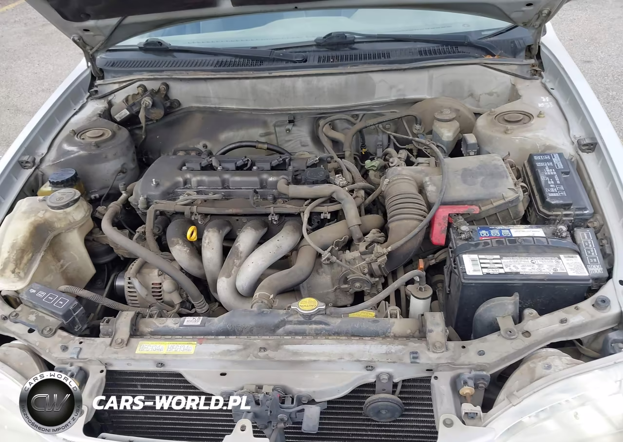 2000 Toyota Corolla Ve VIN:1NXBR12E7YZ320414 - 10