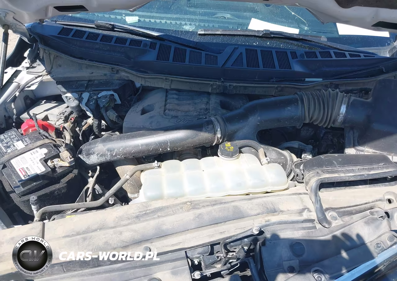 2021 Ford F-150 Platinum VIN:1FTFW1E80MFB18792 - 10