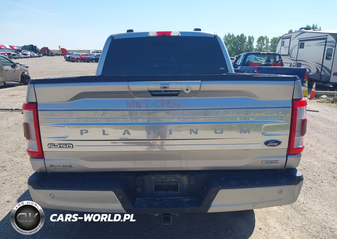 2021 Ford F-150 Platinum VIN:1FTFW1E80MFB18792 - 17