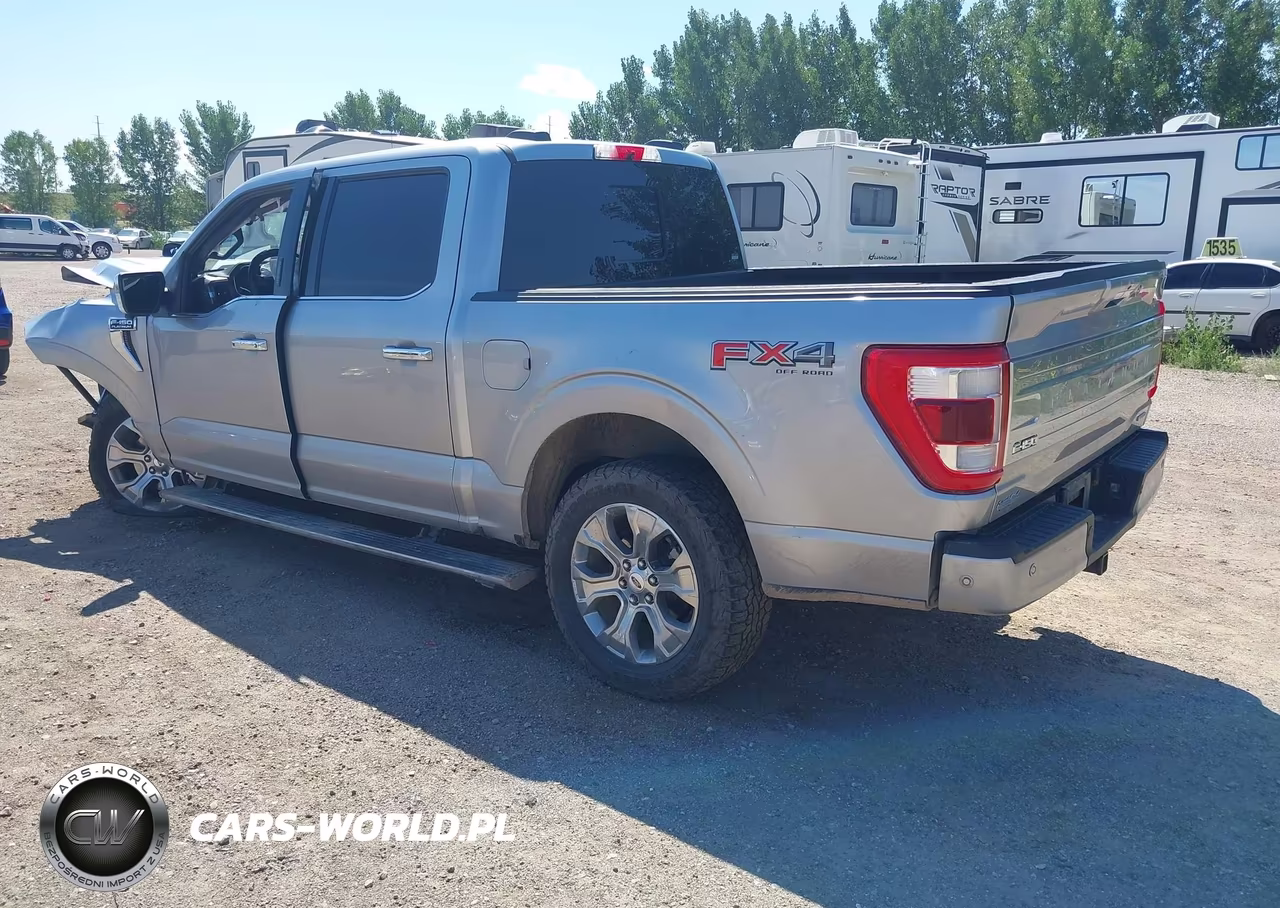 2021 Ford F-150 Platinum VIN:1FTFW1E80MFB18792 - 3