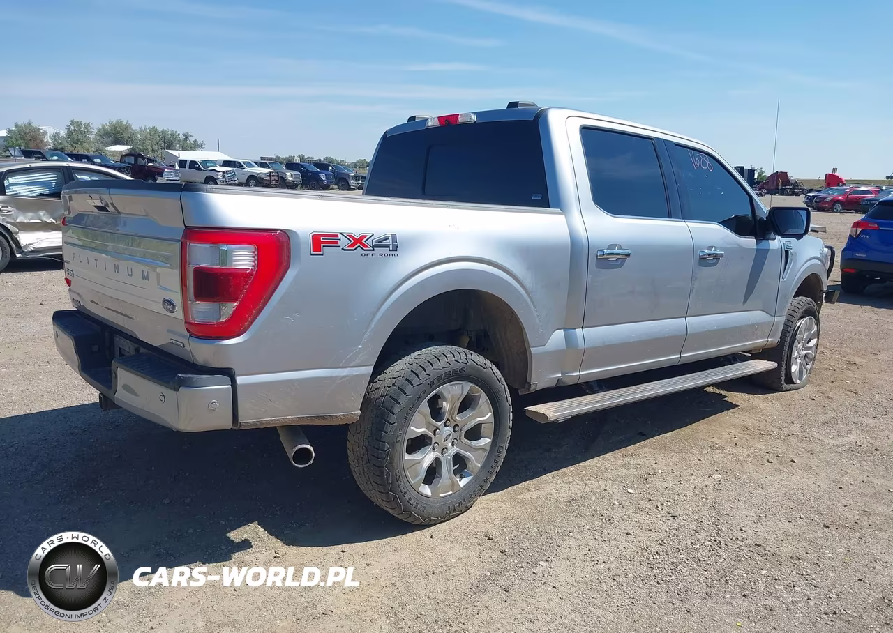 2021 Ford F-150 Platinum VIN:1FTFW1E80MFB18792 - 4