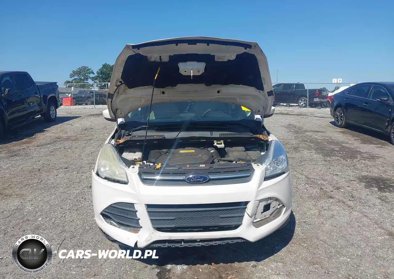 2013 Ford Escape Se VIN:1FMCU0GX1DUC21931 - 10