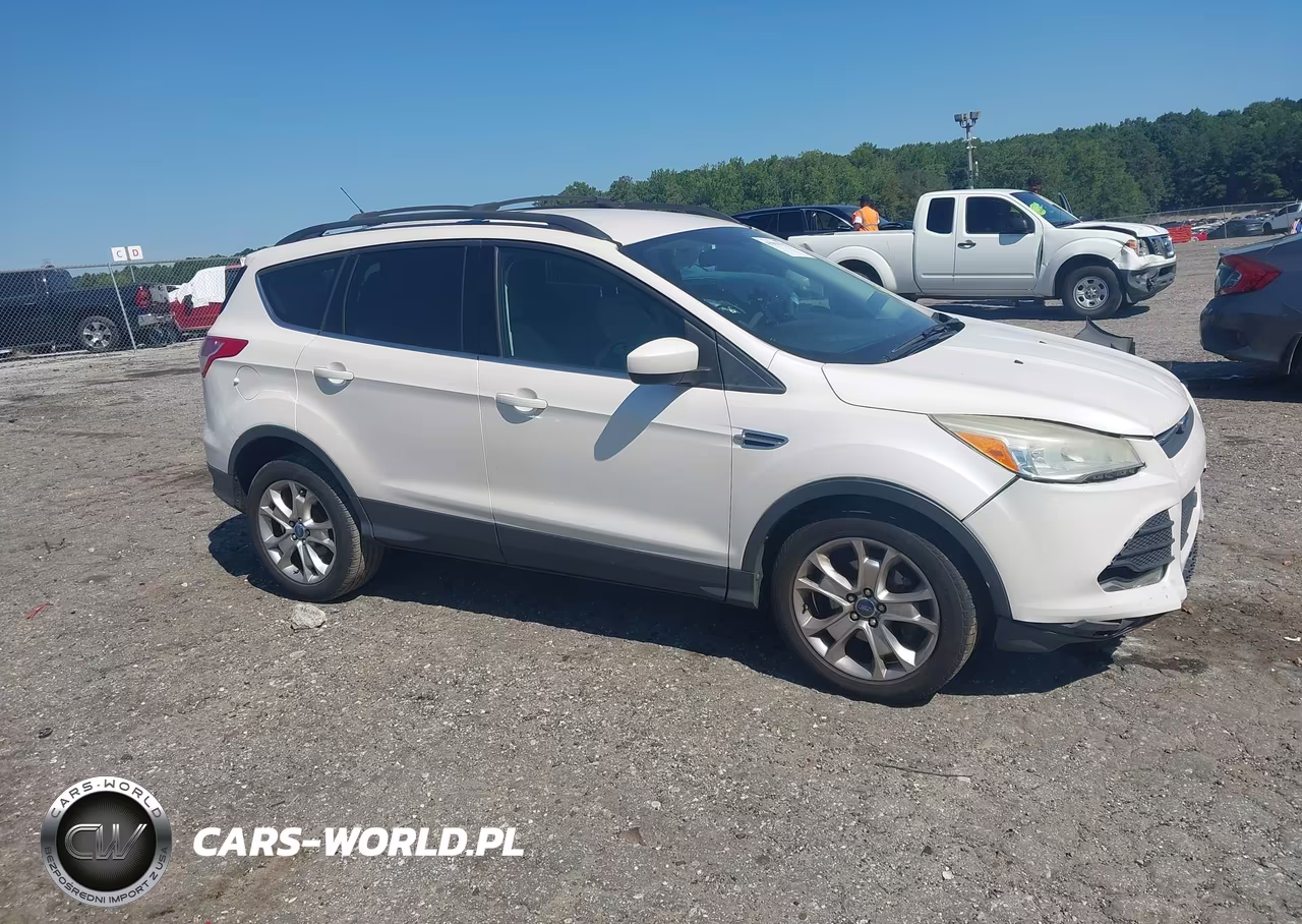 2013 Ford Escape Se VIN:1FMCU0GX1DUC21931 - 13