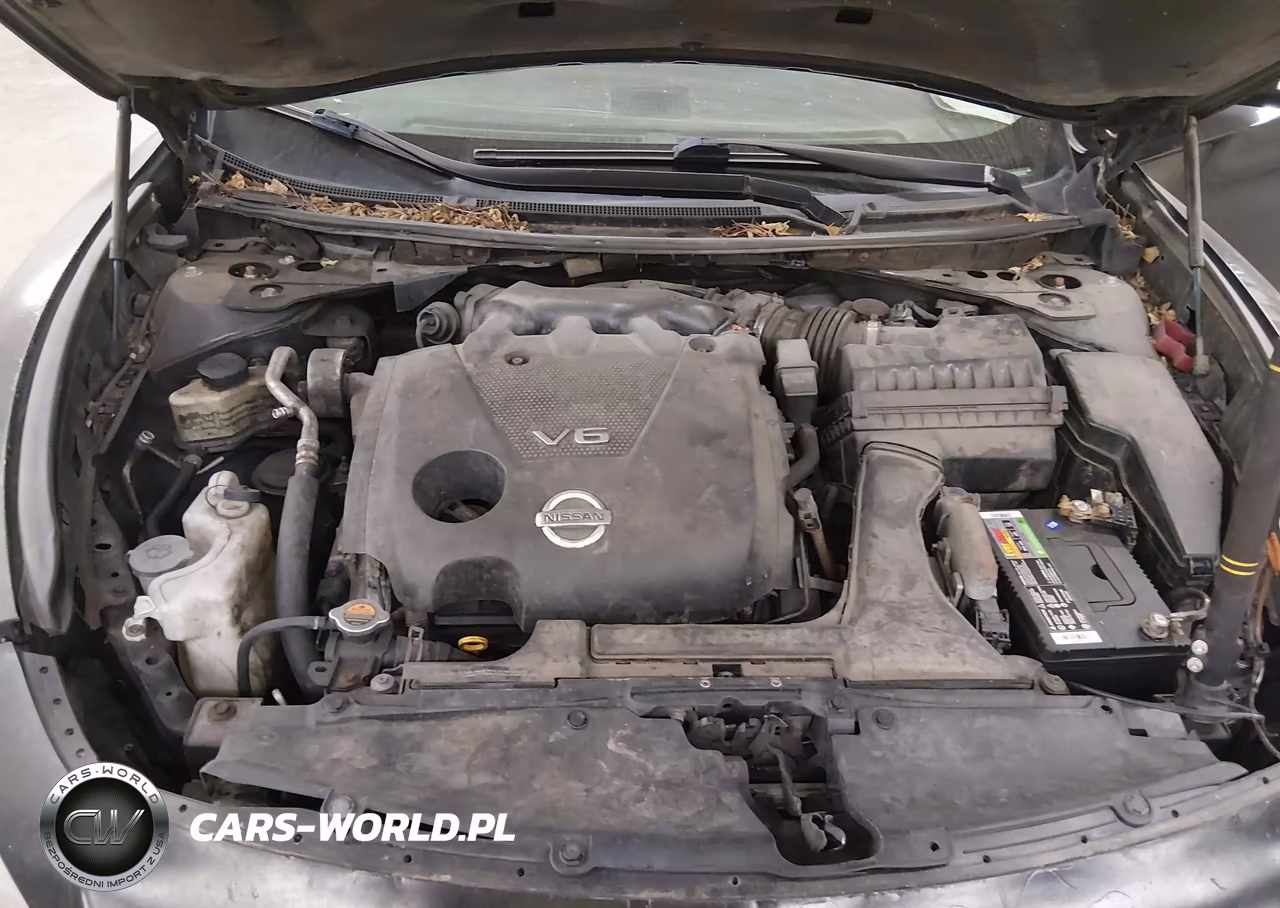 2009 Nissan Maxima 3.5 Sv VIN:1N4AA51E69C811943 - 10