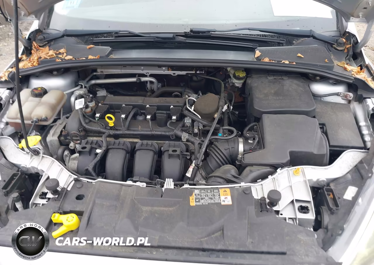 2015 Ford Focus Se VIN:1FADP3F26FL251710 - 10