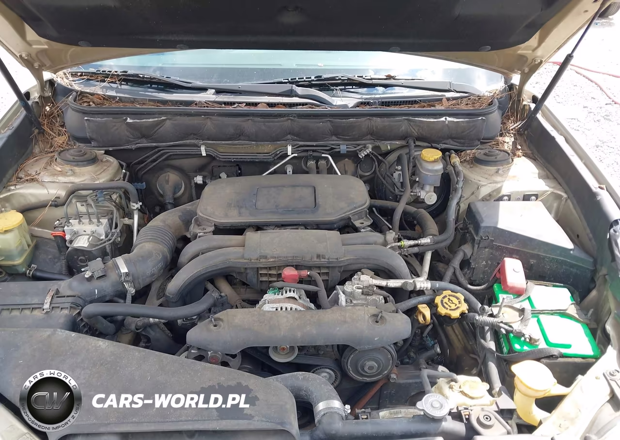 2010 Subaru Outback 2.5I Premium VIN:4S4BRCEC0A3318070 - 10