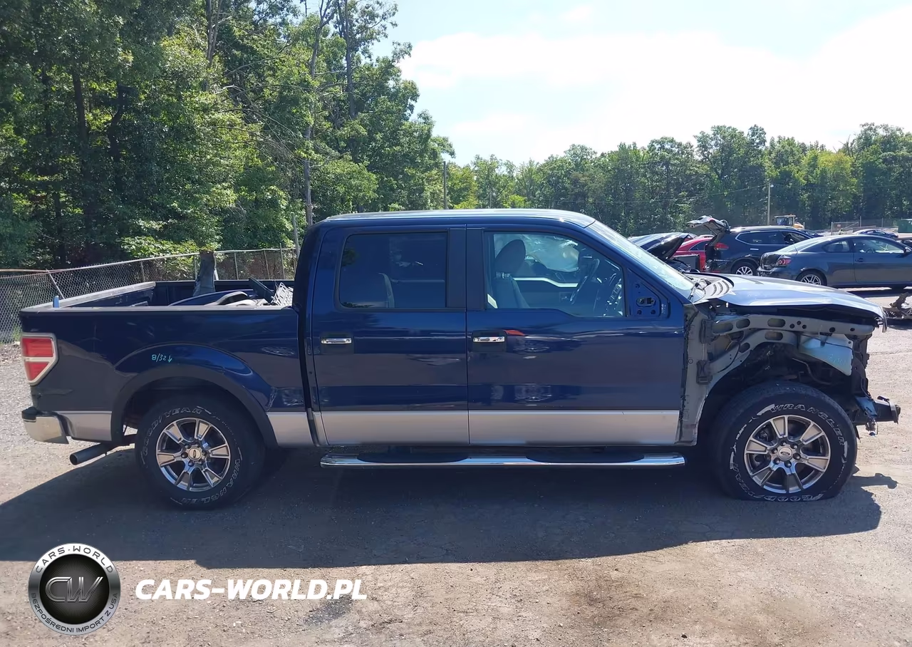 2010 Ford F-150 Fx2 Sport-Xl-Xlt VIN:1FTEW1C86AFA11434 - 14