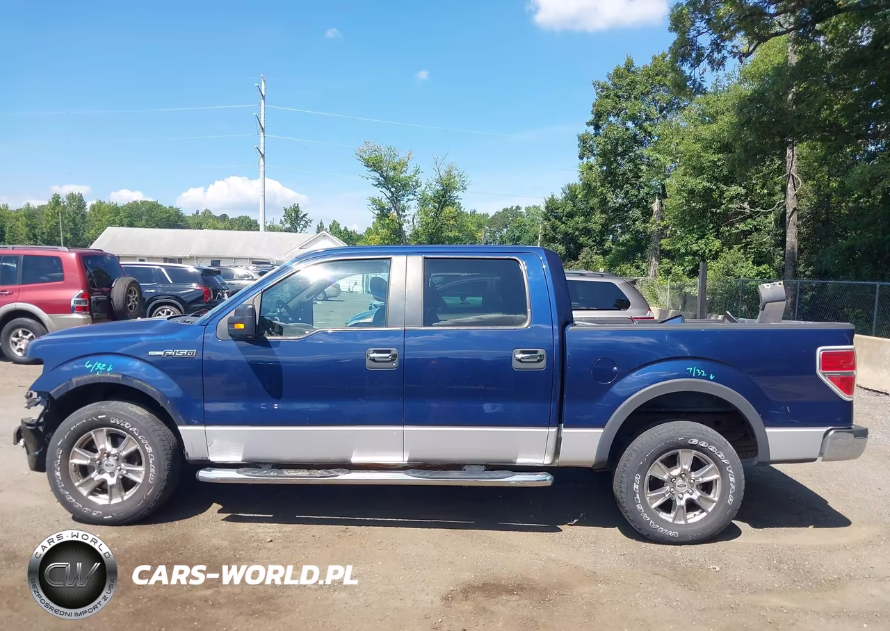 2010 Ford F-150 Fx2 Sport-Xl-Xlt VIN:1FTEW1C86AFA11434 - 15