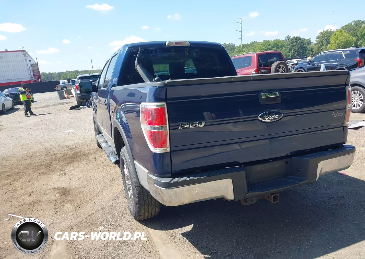 2010 Ford F-150 Fx2 Sport-Xl-Xlt VIN:1FTEW1C86AFA11434 - 3