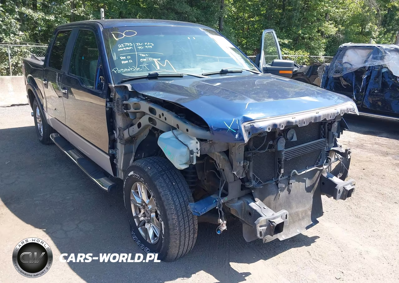 2010 Ford F-150 Fx2 Sport-Xl-Xlt VIN:1FTEW1C86AFA11434 - 6