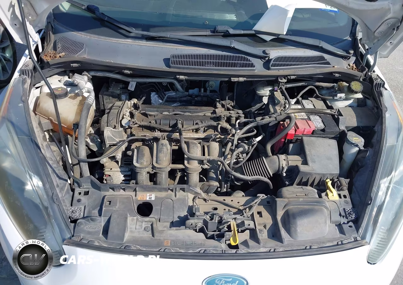 2014 Ford Fiesta Se VIN:3FADP4BJ6EM207237 - 10