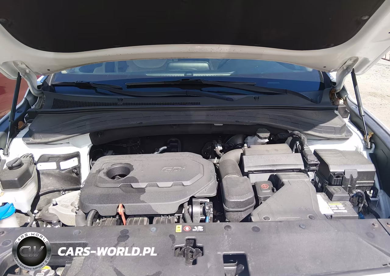 2019 Hyundai Santa Fe Se VIN:5NMS2CAD0KH046047 - 10