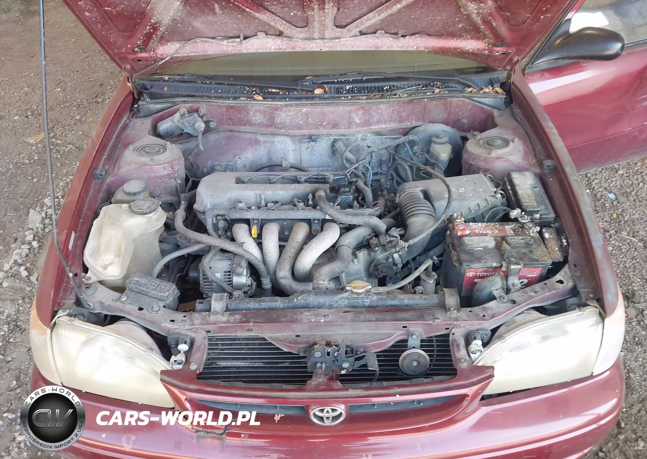 1999 Toyota Corolla Ve VIN:2T1BR12E8XC237154 - 10