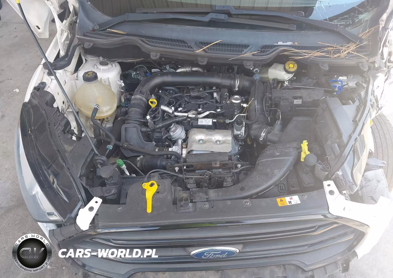 2018 Ford Ecosport S VIN:MAJ3P1RE6JC206183 - 10