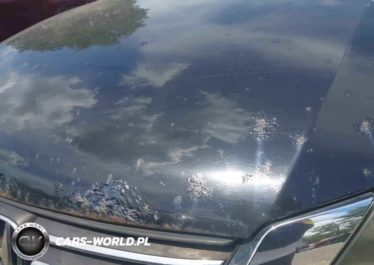 2014 Honda Accord Ex-L VIN:1HGCR2F8XEA015667 - 19