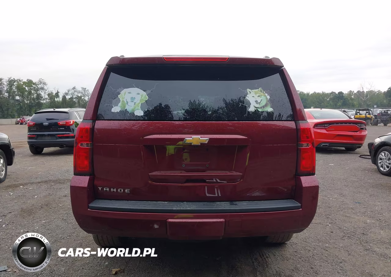 2020 Chevrolet Tahoe 4Wd Lt VIN:1GNSKBKC6LR124612 - 17