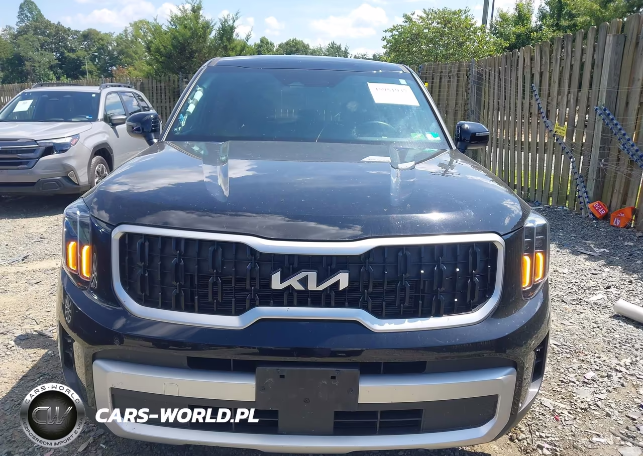 2024 Kia Telluride Lx VIN:5XYP24GC3RG534259 - 13