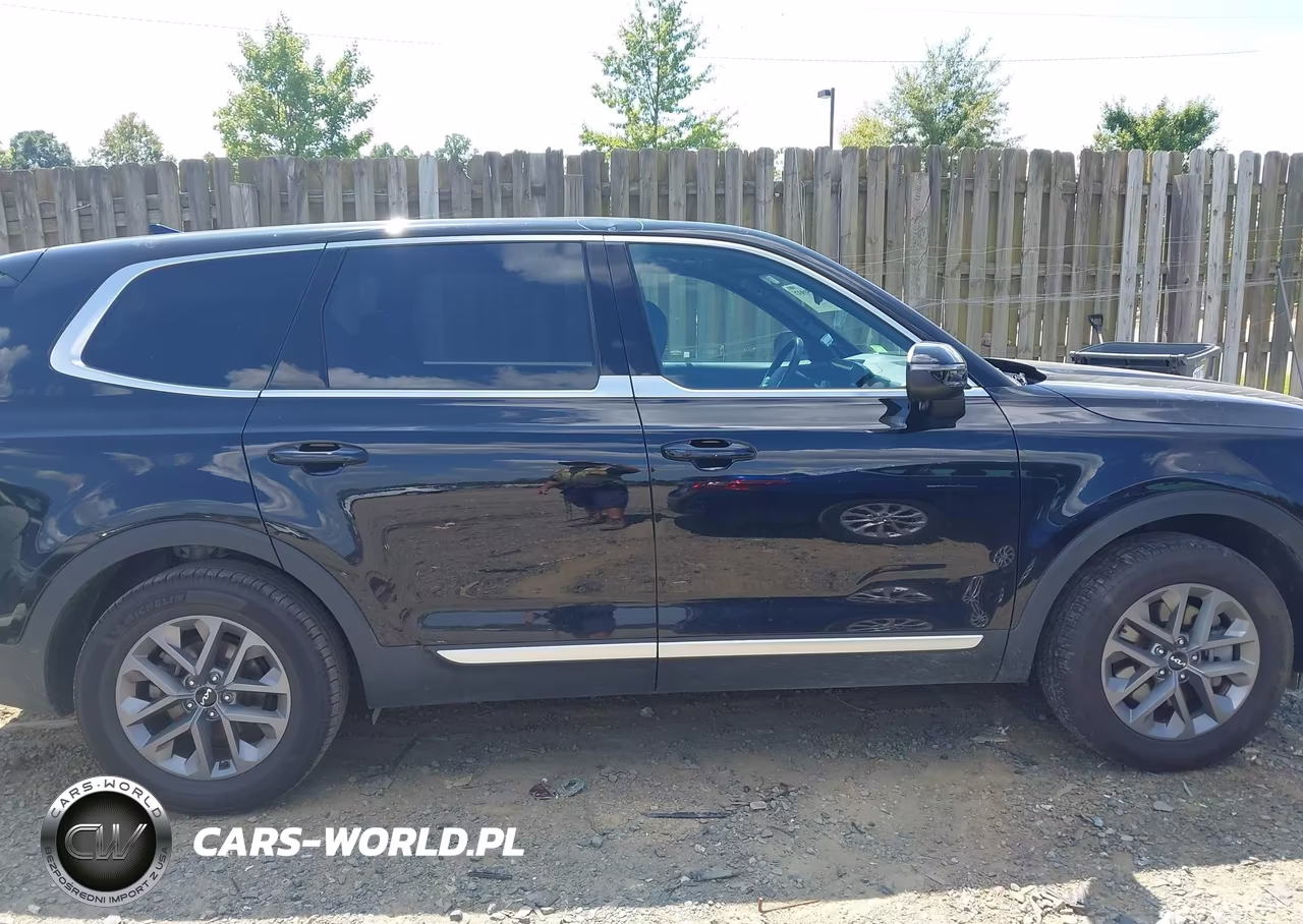 2024 Kia Telluride Lx VIN:5XYP24GC3RG534259 - 14