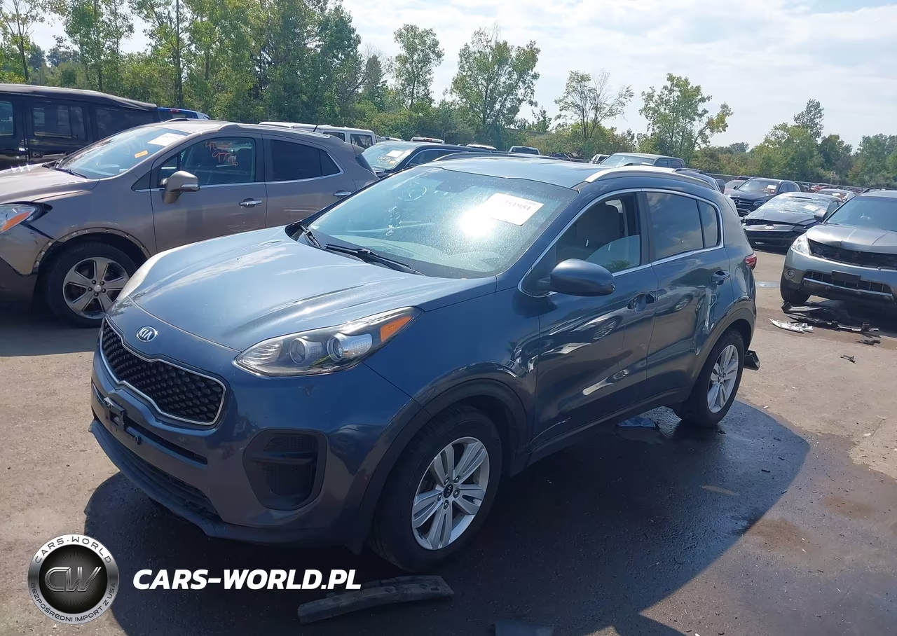 2018 Kia Sportage Lx VIN:KNDPM3ACXJ7402310 - 2