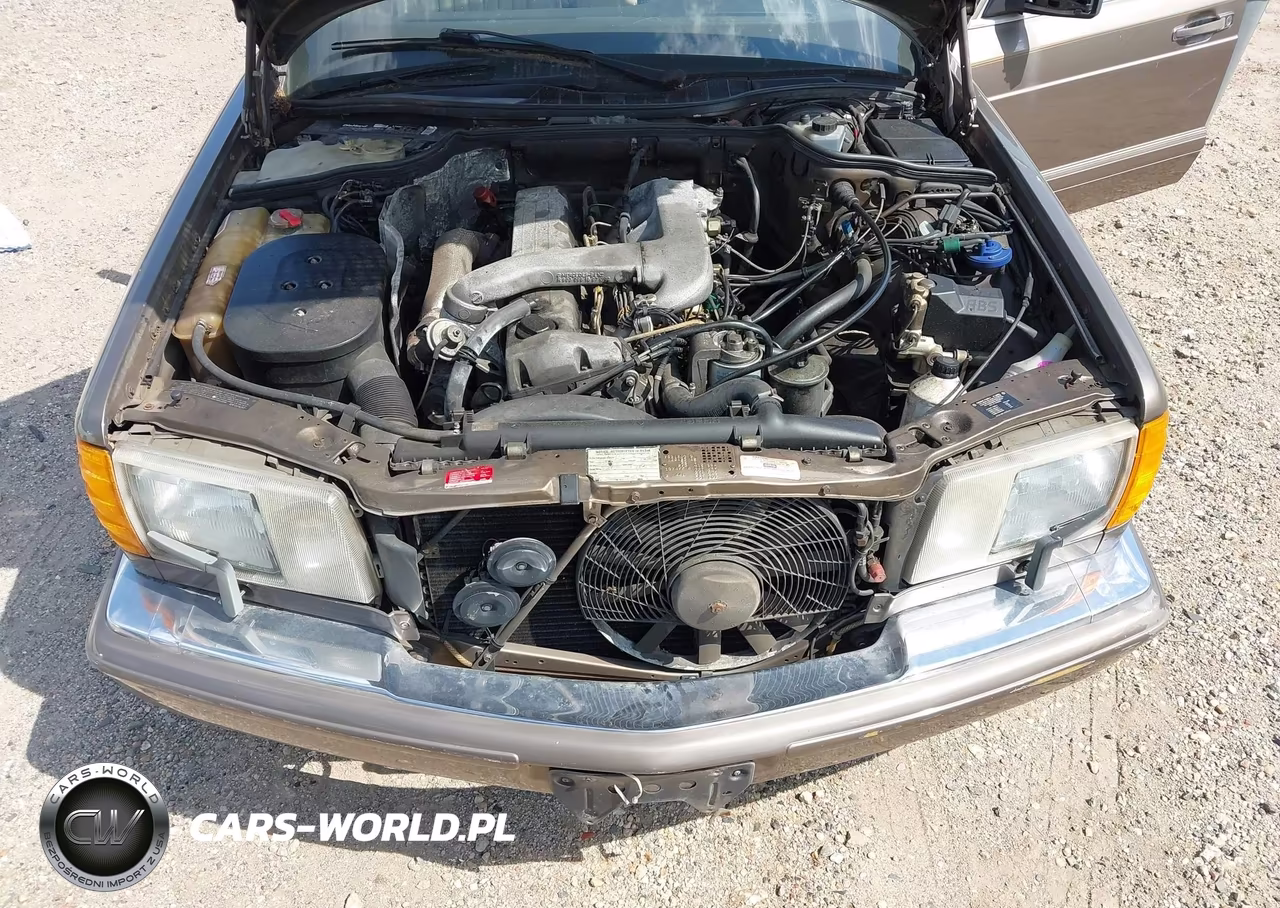 1987 Mercedes-Benz 300 Sdl VIN:WDBCB25D2HA330984 - 10