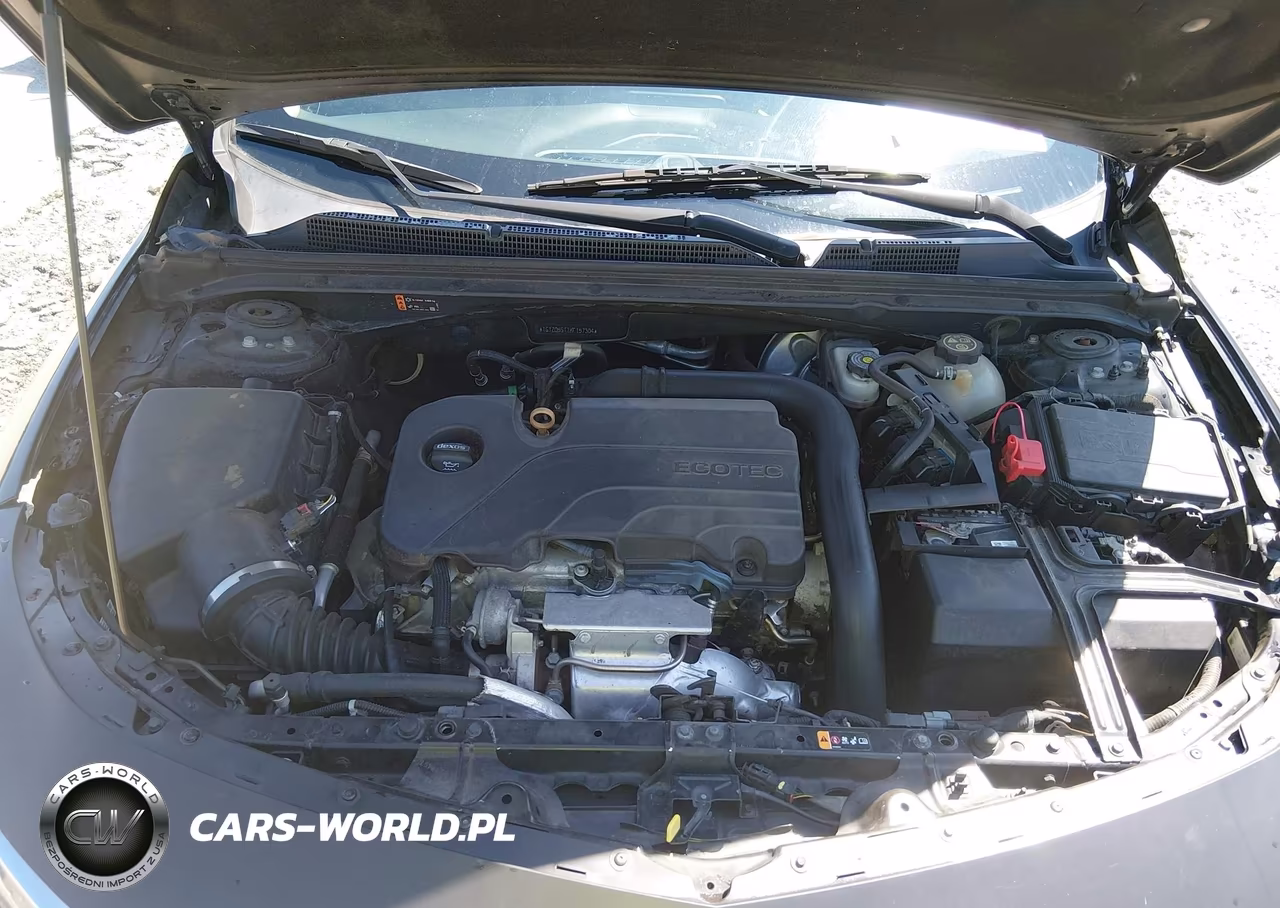 2019 Chevrolet Malibu Lt VIN:1G1ZD5ST1KF157304 - 10