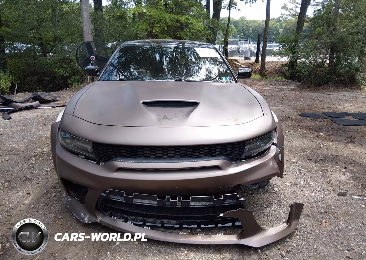 2020 Dodge Charger Scat Pack Widebody Rwd VIN:2C3CDXGJ8LH180342 - 12