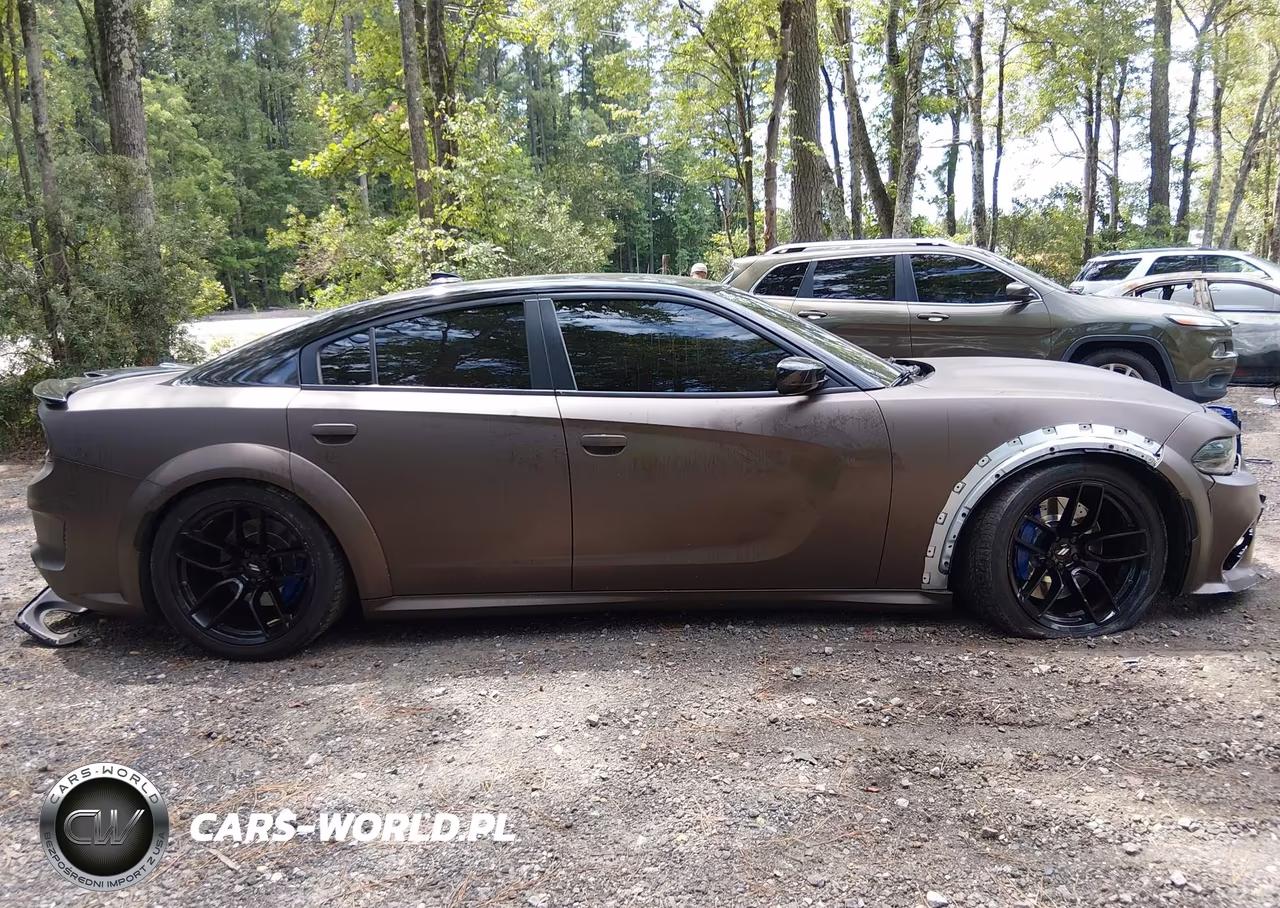 2020 Dodge Charger Scat Pack Widebody Rwd VIN:2C3CDXGJ8LH180342 - 13