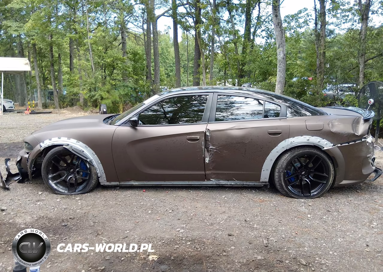 2020 Dodge Charger Scat Pack Widebody Rwd VIN:2C3CDXGJ8LH180342 - 14