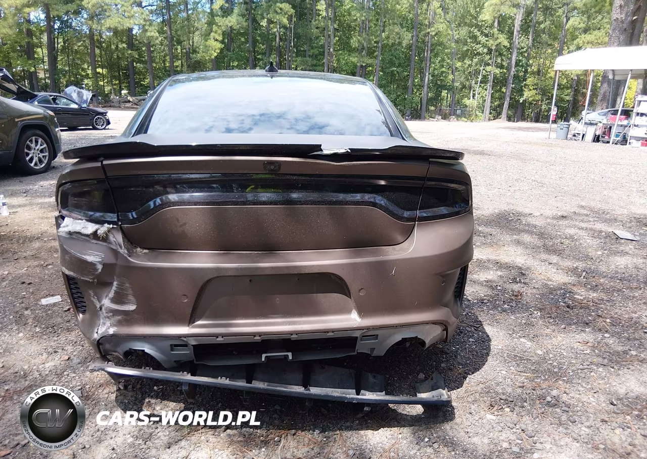 2020 Dodge Charger Scat Pack Widebody Rwd VIN:2C3CDXGJ8LH180342 - 16
