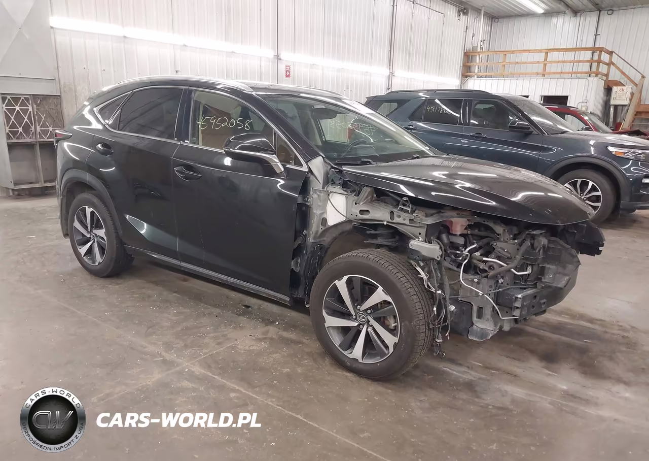 2020 Lexus Nx 300 VIN:JTJGARDZXL5006658 - 1